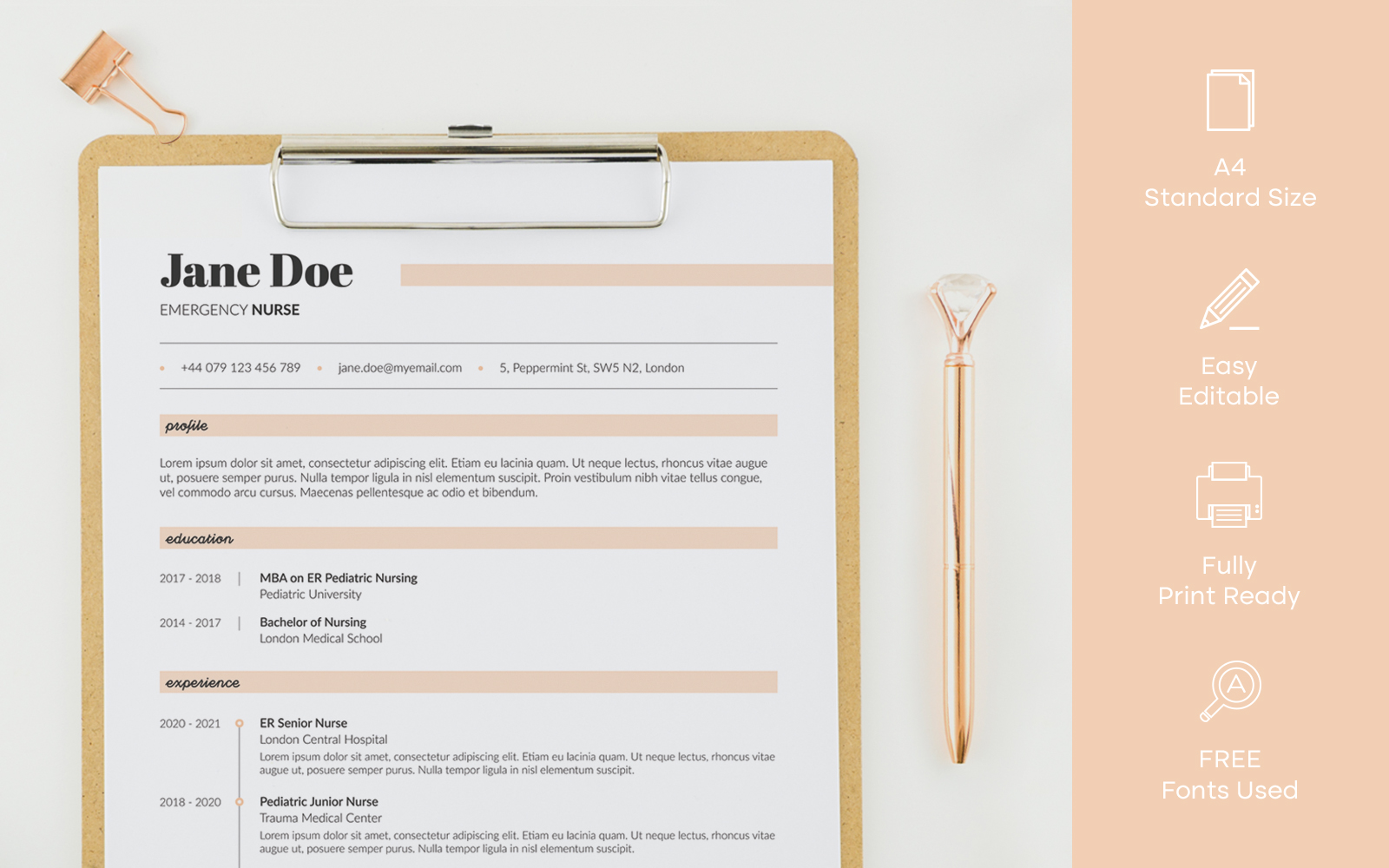 Clean and Modern Resume Template for Nurse or Doctor