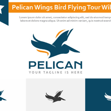 Wings Bird Logo Templates 247723