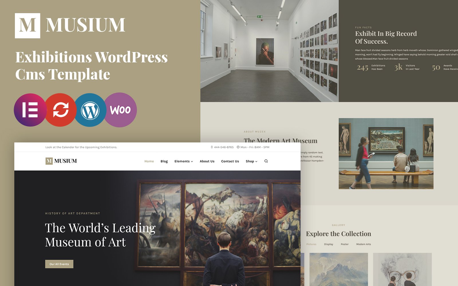Musium - Art Gallery and Museum WordPress Theme