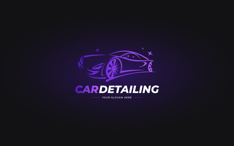 Professional Car Detailing Logo