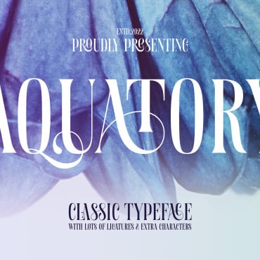 Typography Alphabet Fonts 249835