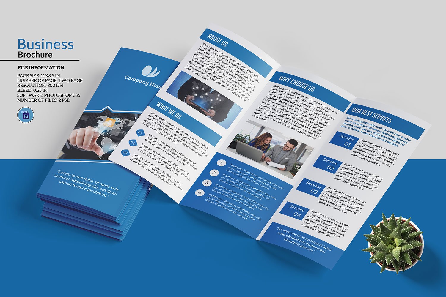 Corporate Business Trifold Brochure Template
