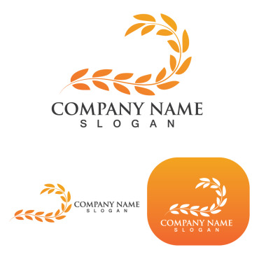 Grain Wheat Logo Templates 250237