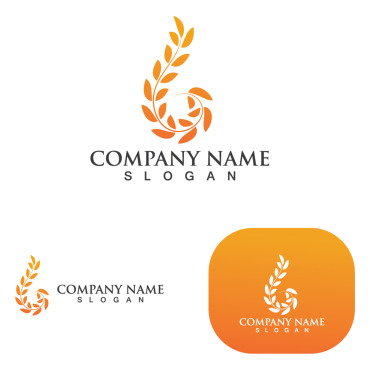 Grain Wheat Logo Templates 250238