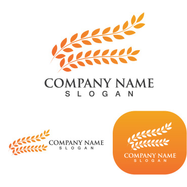 Grain Wheat Logo Templates 250240