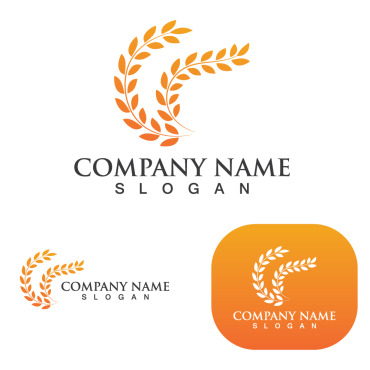 Grain Wheat Logo Templates 250241