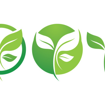 Vector Leaf Logo Templates 250599