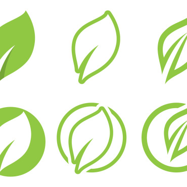 Vector Leaf Logo Templates 250609