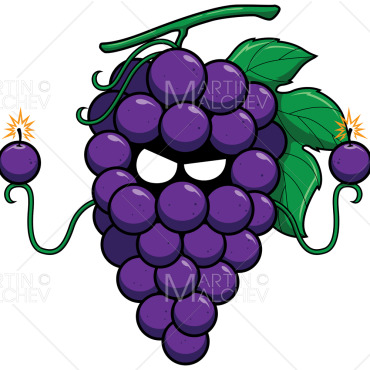 Vine Grape Illustrations Templates 251305