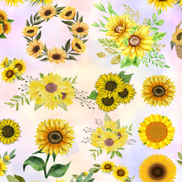 Collection Sunflower Illustrations Templates 252660