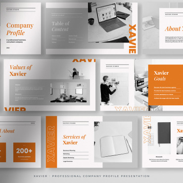 Professional Company PowerPoint Templates 253031