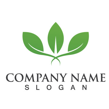 Leaf Tree Logo Templates 254358