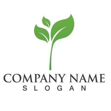 Leaf Tree Logo Templates 254359