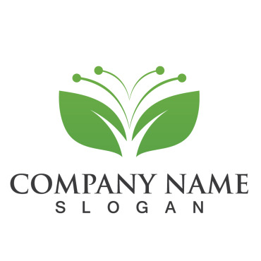 Leaf Tree Logo Templates 254363