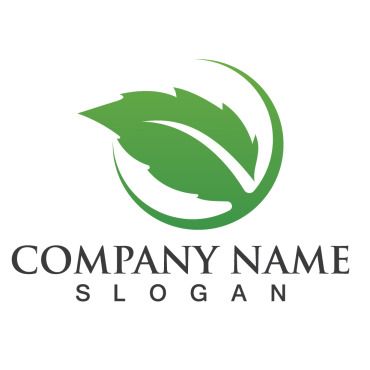 Leaf Tree Logo Templates 254386