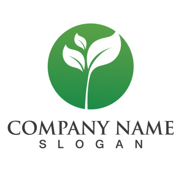 Leaf Tree Logo Templates 254387