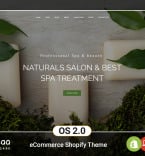 Shopify Themes 254633