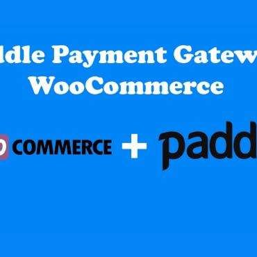 Paddle Payment WordPress Plugins 254716