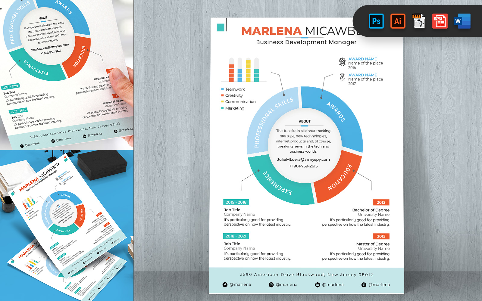 Infographic Style CV Resume A4 Print Template