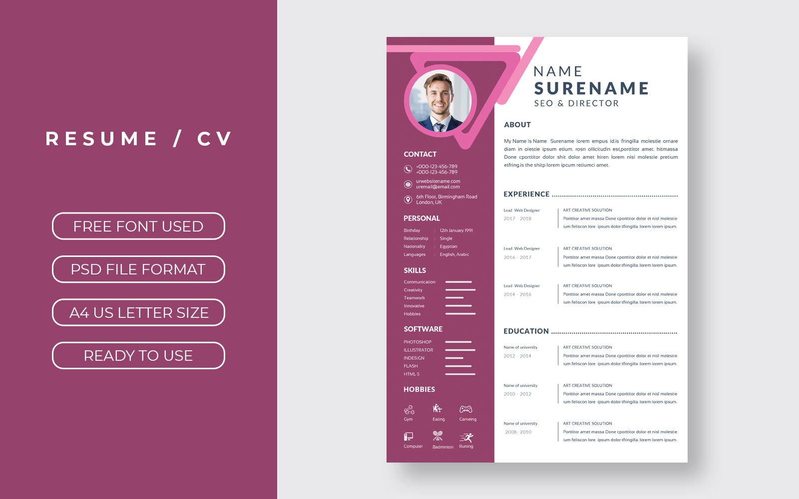 Professional Director Curriculum Vitae Layout