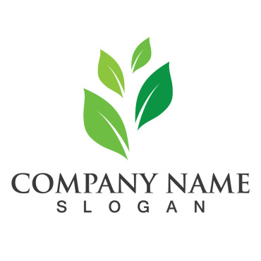 Nature Eco Logo Templates 255157