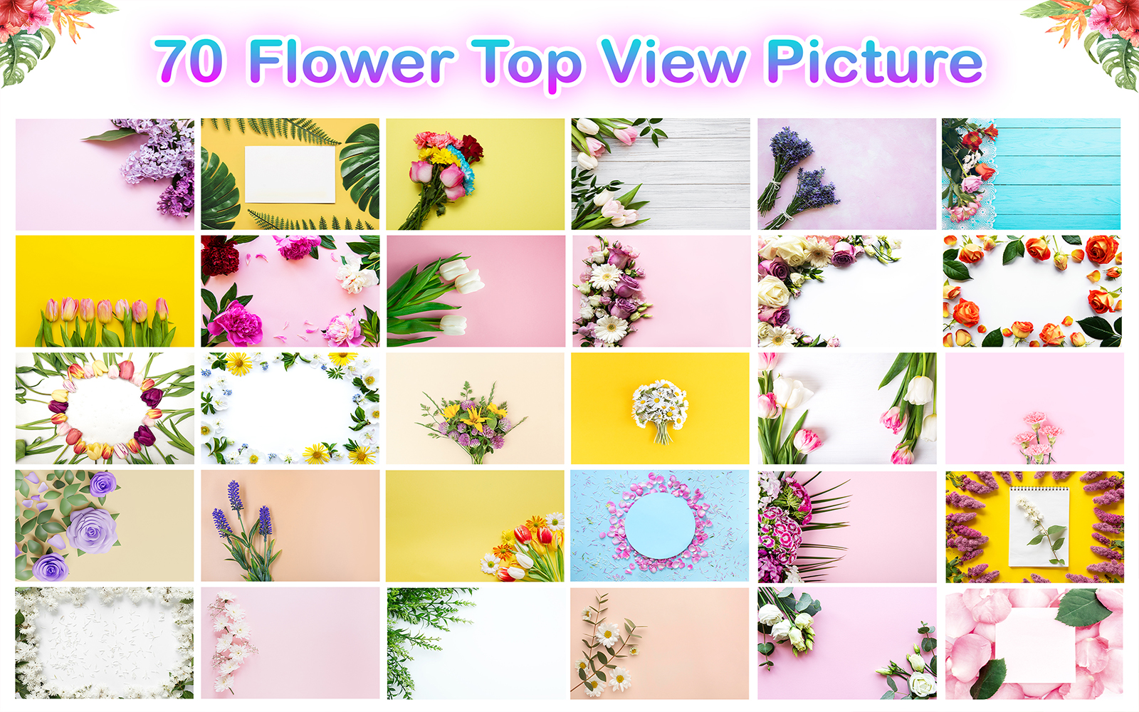 Flower Top View Picture Bundle