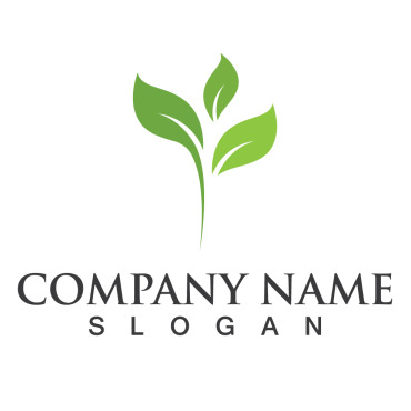 Logo Leaf Logo Templates 256942