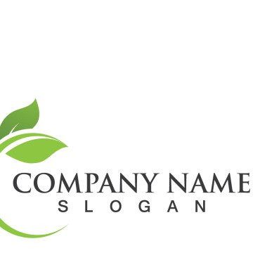 Logo Leaf Logo Templates 256945