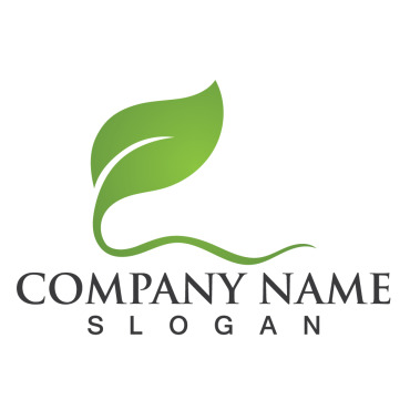 Logo Leaf Logo Templates 256948