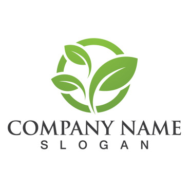 Logo Leaf Logo Templates 256954