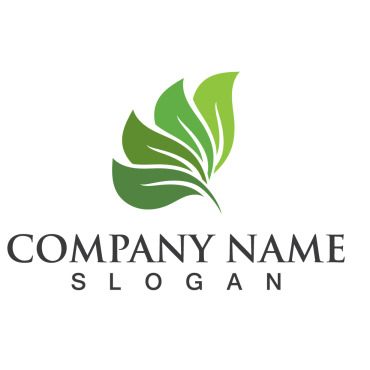 Logo Leaf Logo Templates 256962