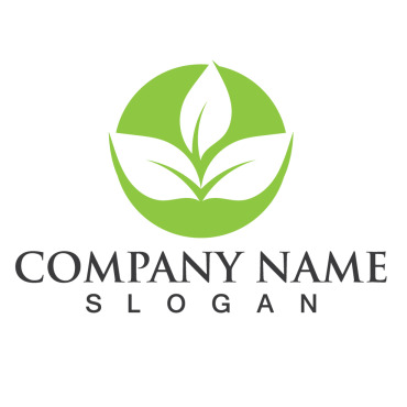 Logo Leaf Logo Templates 256973