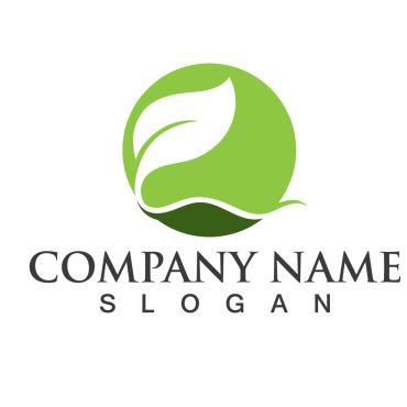 Logo Leaf Logo Templates 256976