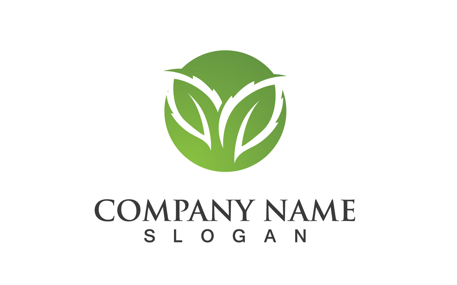 Ecology Green Leaf Nature Logo And Symbol V43