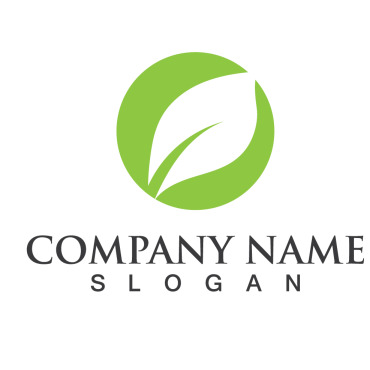 Logo Leaf Logo Templates 256985