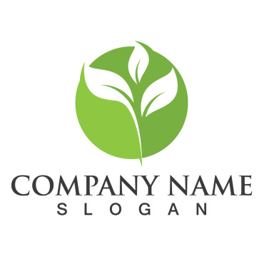 Logo Leaf Logo Templates 256987