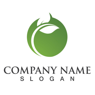 Logo Leaf Logo Templates 256990