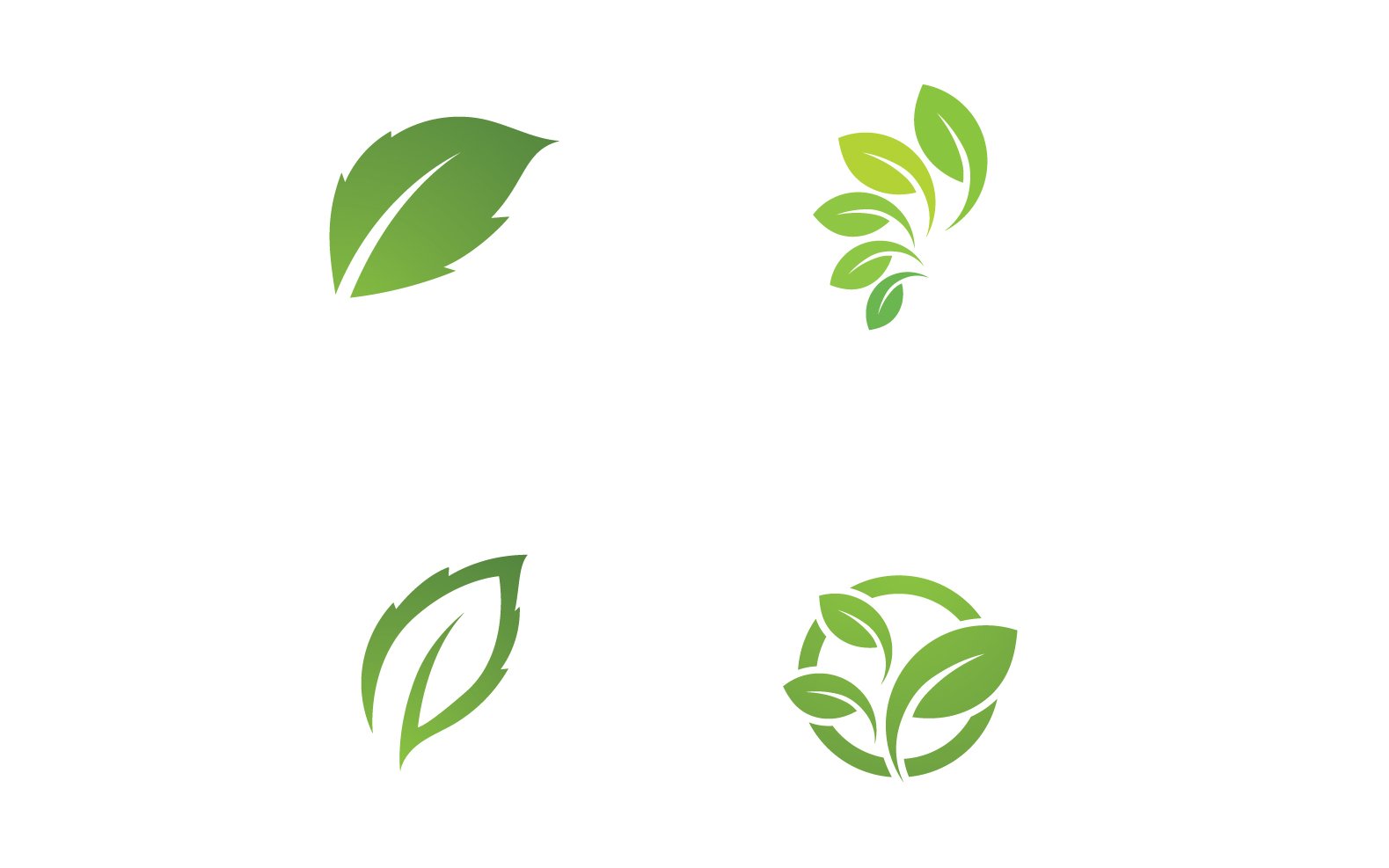 Ecology Green Leaf Nature Logo And Symbol V58