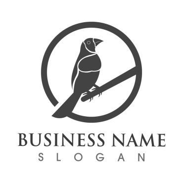 Bird Design Logo Templates 257199