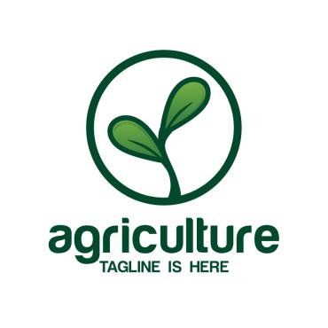 <a class=ContentLinkGreen href=/fr/logo-templates.html>Logo Templates</a></font> plante agriculture 258523