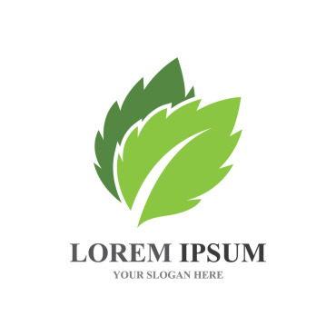 Natural Leaf Logo Templates 259136