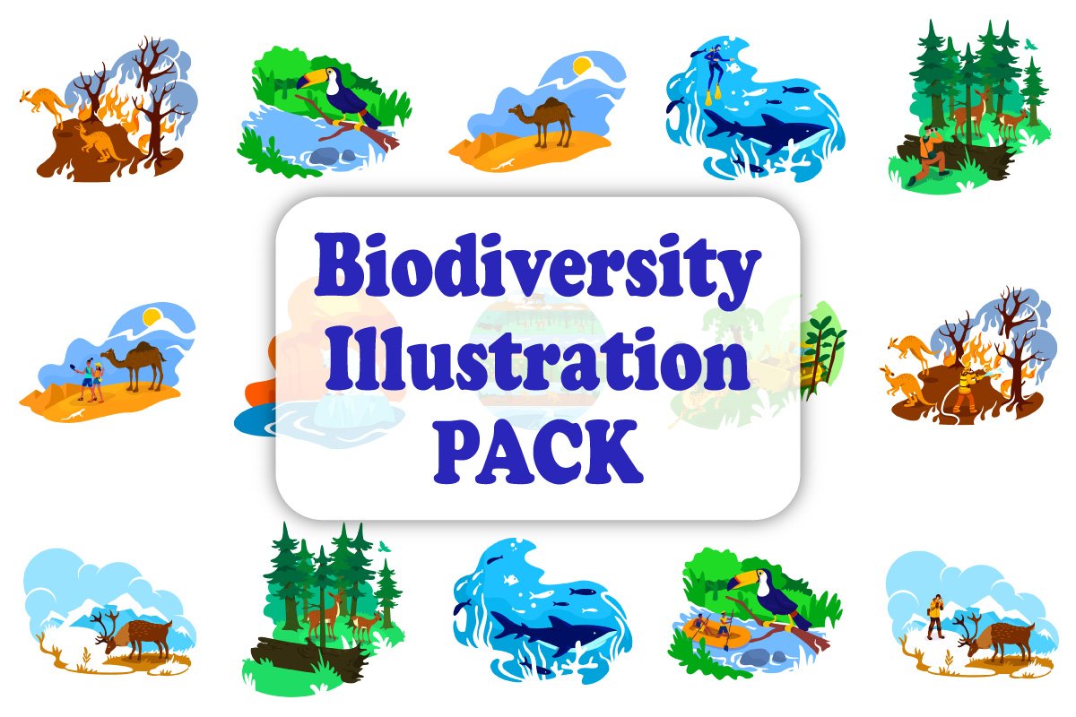 Biodiversity Illustration Bundle