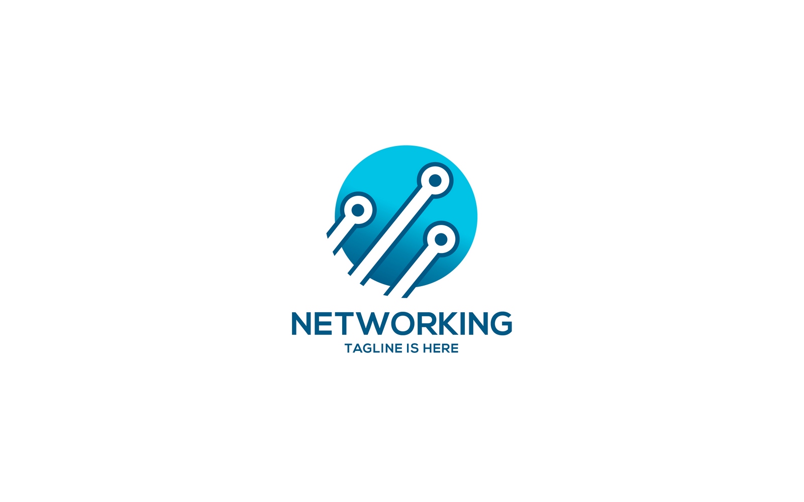 Computer and Networking Logo Template V1