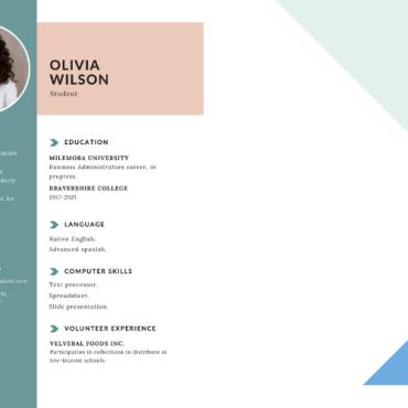 Psd Professional Resume Templates 266740