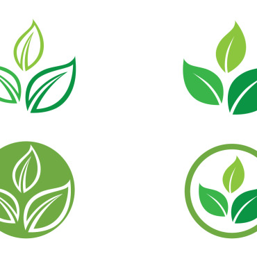 Ecology Green Logo Templates 267193