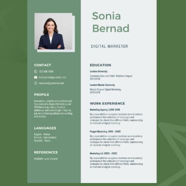 Cv Professional  269131