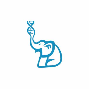 Elephant Animal Logo Templates 269275