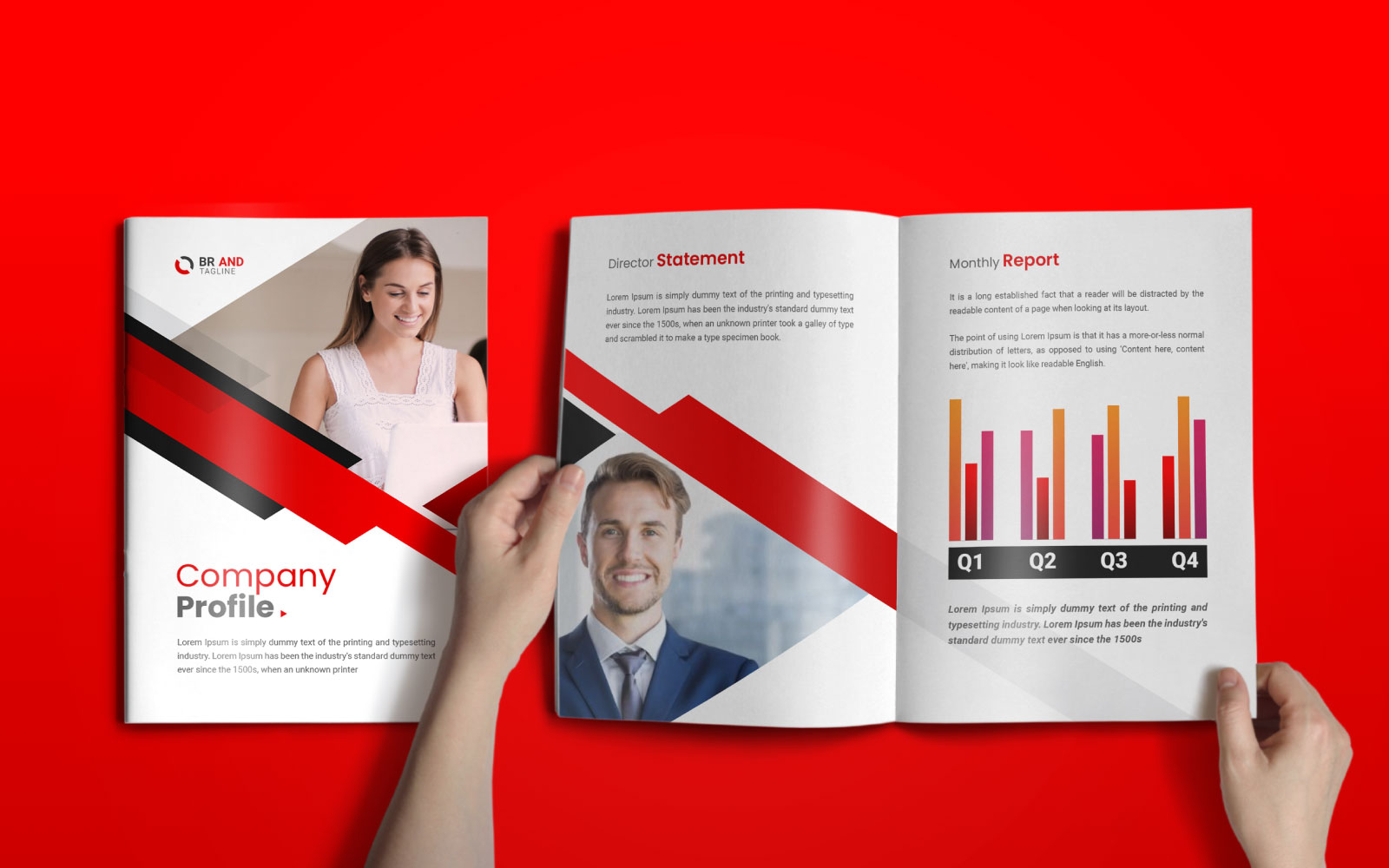 Professional Company Profile Brochure Template