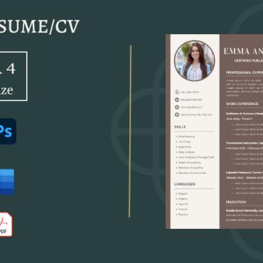 Clean Cover Resume Templates 270478