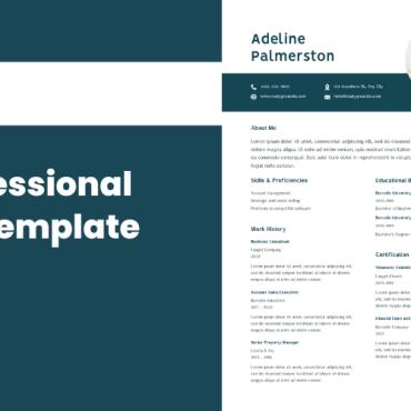 Customizable Professional Resume Templates 270821